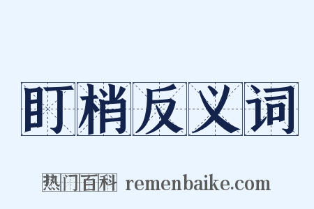 盯梢反义词是什么意思的图片